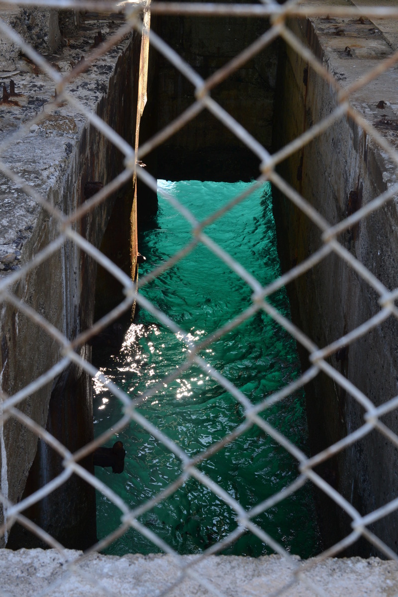 DSC_0252