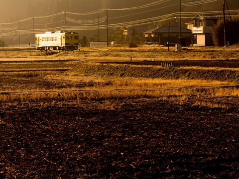D72_3997blog