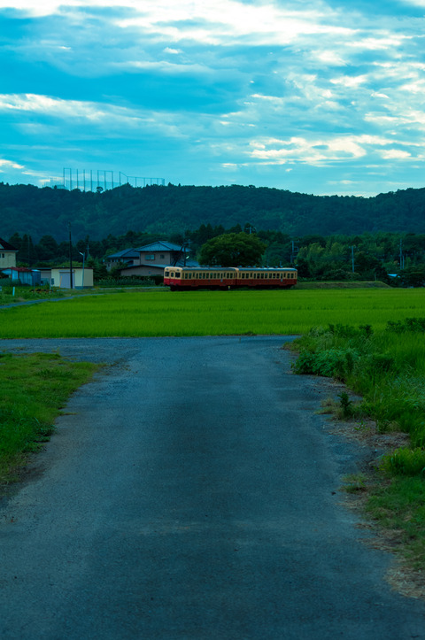 IMGP3869
