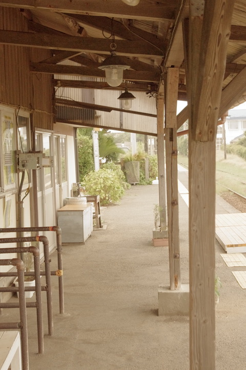 IMGP4616