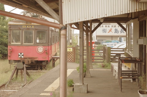IMGP4611