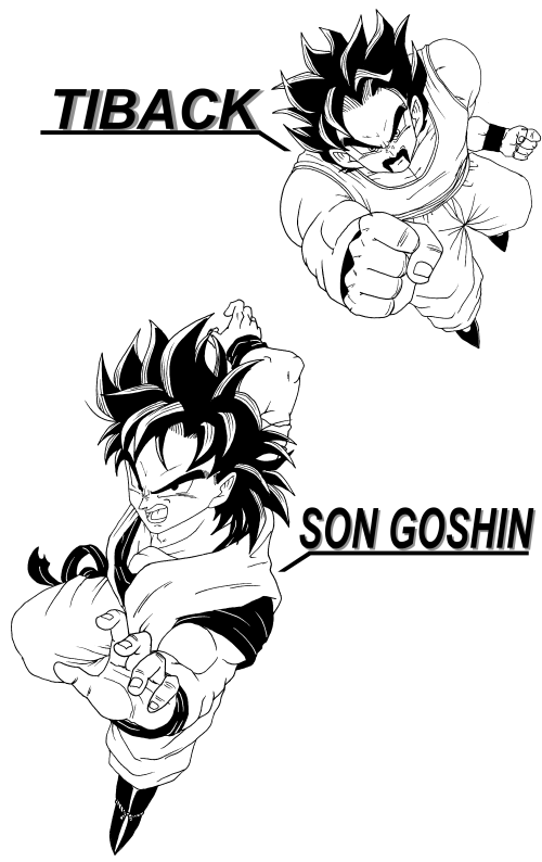 goshin&tibackmono