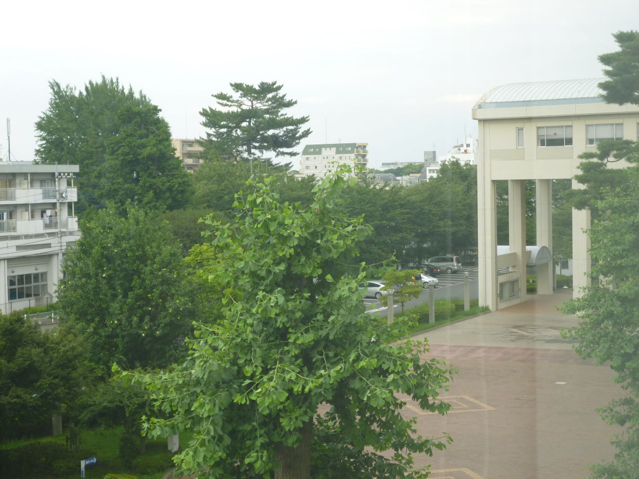 P1000011