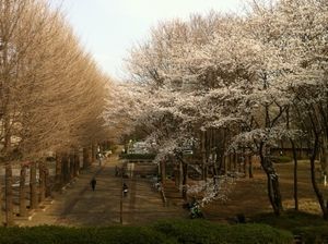 IMG_1722