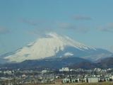 fuji