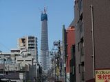 DSCN6052