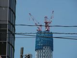 DSCN6051