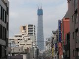 DSCN59531
