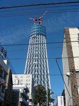 DSCN5353