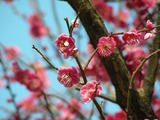 DSCN70181