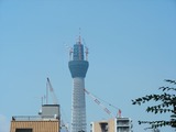 DSCN6501001
