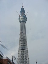 DSCN6823