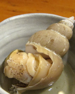 つぶ貝
