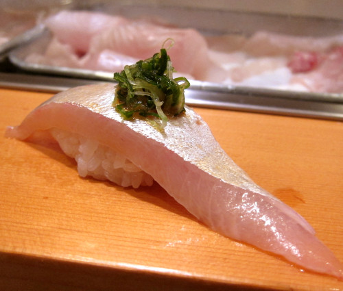 10シマアジ