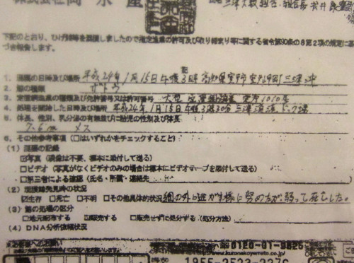 報告書