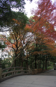 DSC02086