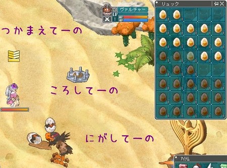 3月3日ペット