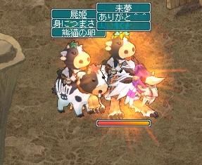 5月28日熊猫の秘境にて