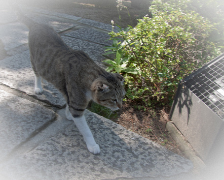 20101002-IMG_5009
