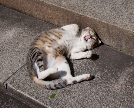 20101002-IMG_5014