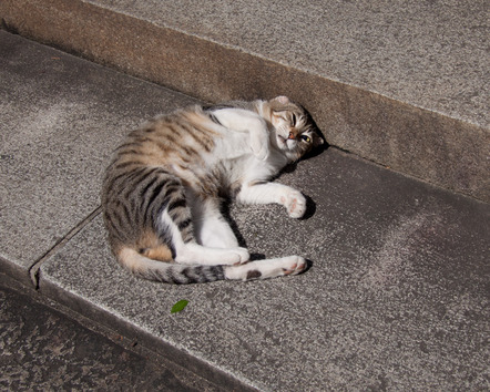 20101002-IMG_5013