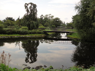 昭和記念公園05