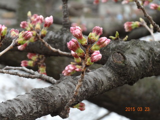 上野恩賜公園07
