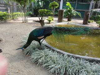 DSC01081