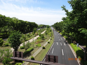 昭和記念公園04