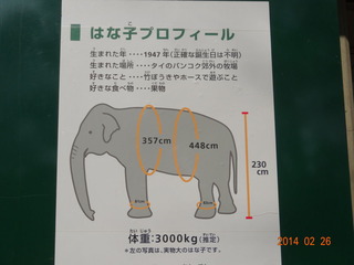 井の頭公園05
