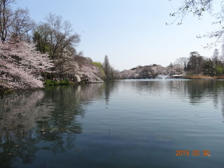 井の頭公園02