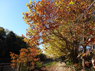 昭和記念公園23