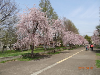 小金井公園02