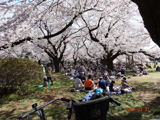 小金井公園04