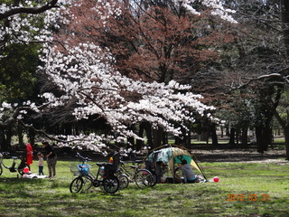 小金井公園02
