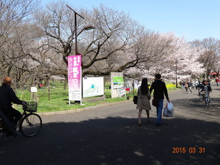小金井公園01