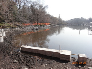 井の頭公園04