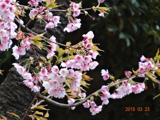 上野恩賜公園04
