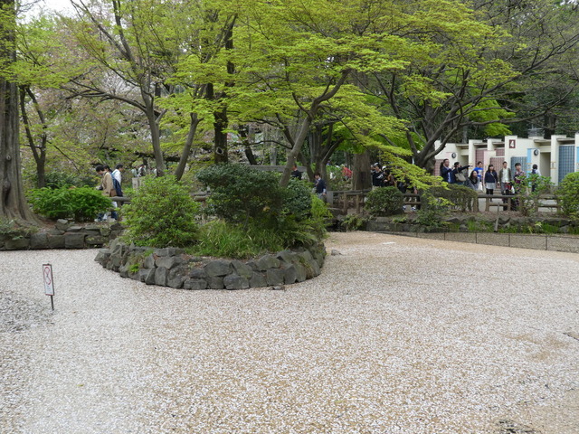 井之頭公園04