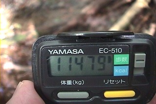 千曲川源流02