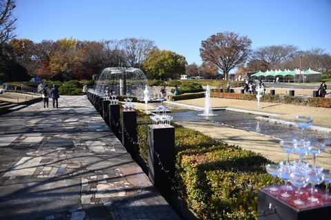 昭和記念公園1607