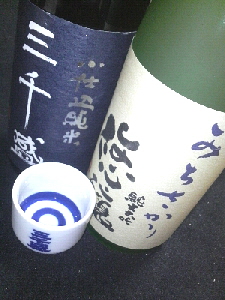 5m1lv4izp