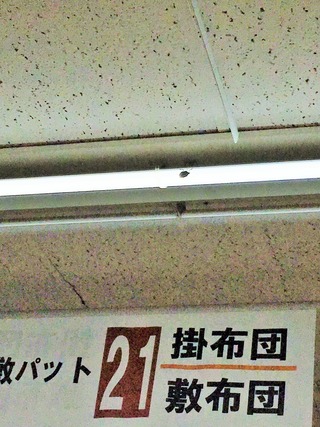 クリックで拡大