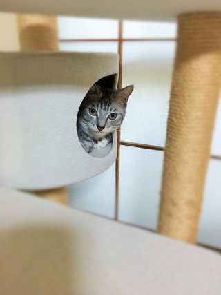 クリックで拡大