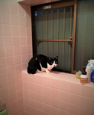 クリックで拡大
