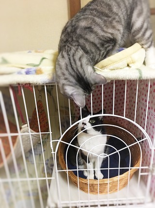 クリックで拡大