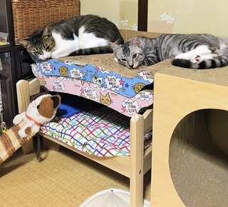 クリックで拡大