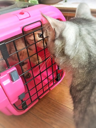 クリックで拡大