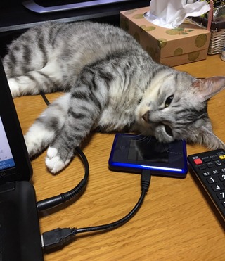 クリックで拡大
