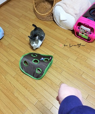 クリックで拡大